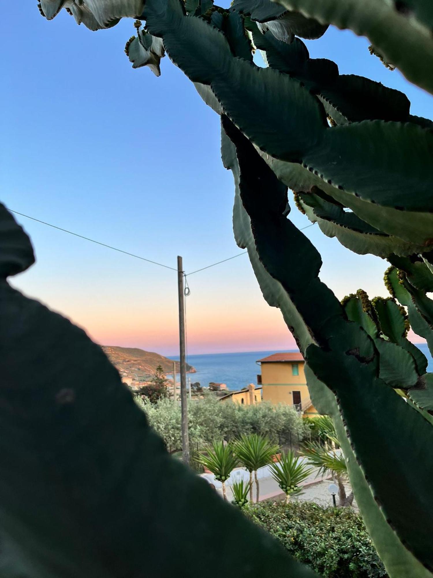 Falco In Pietra Palma di Montechiaro Esterno foto